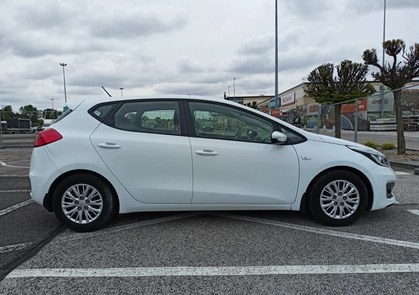 Kia Ceed cena 41900 przebieg: 145041, rok produkcji 2016 z Nisko małe 326